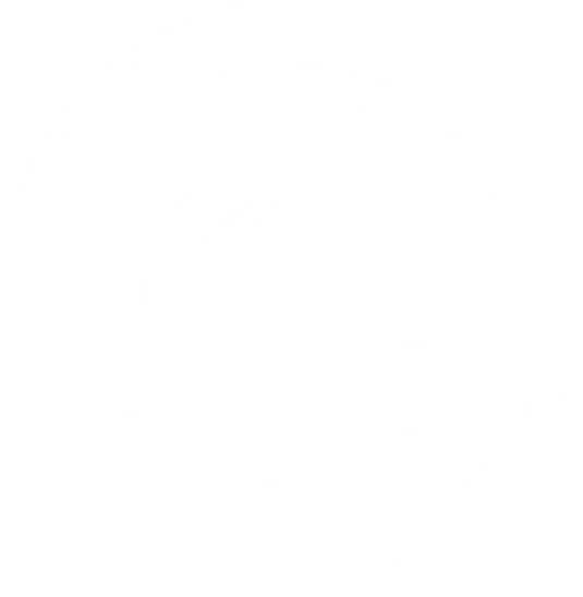 Gecertificeerd ISO 14001   Zwart Wit